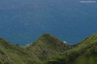 2007_hawaii_0084