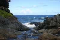 2007_hawaii_0156